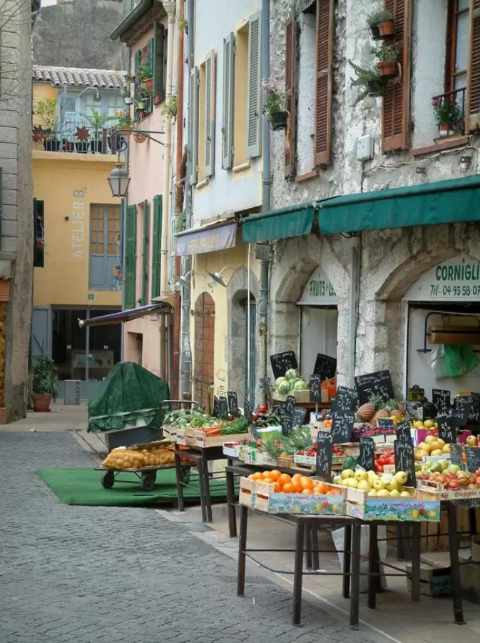 Villa French Riviera Gaudissard Vence Esterno foto